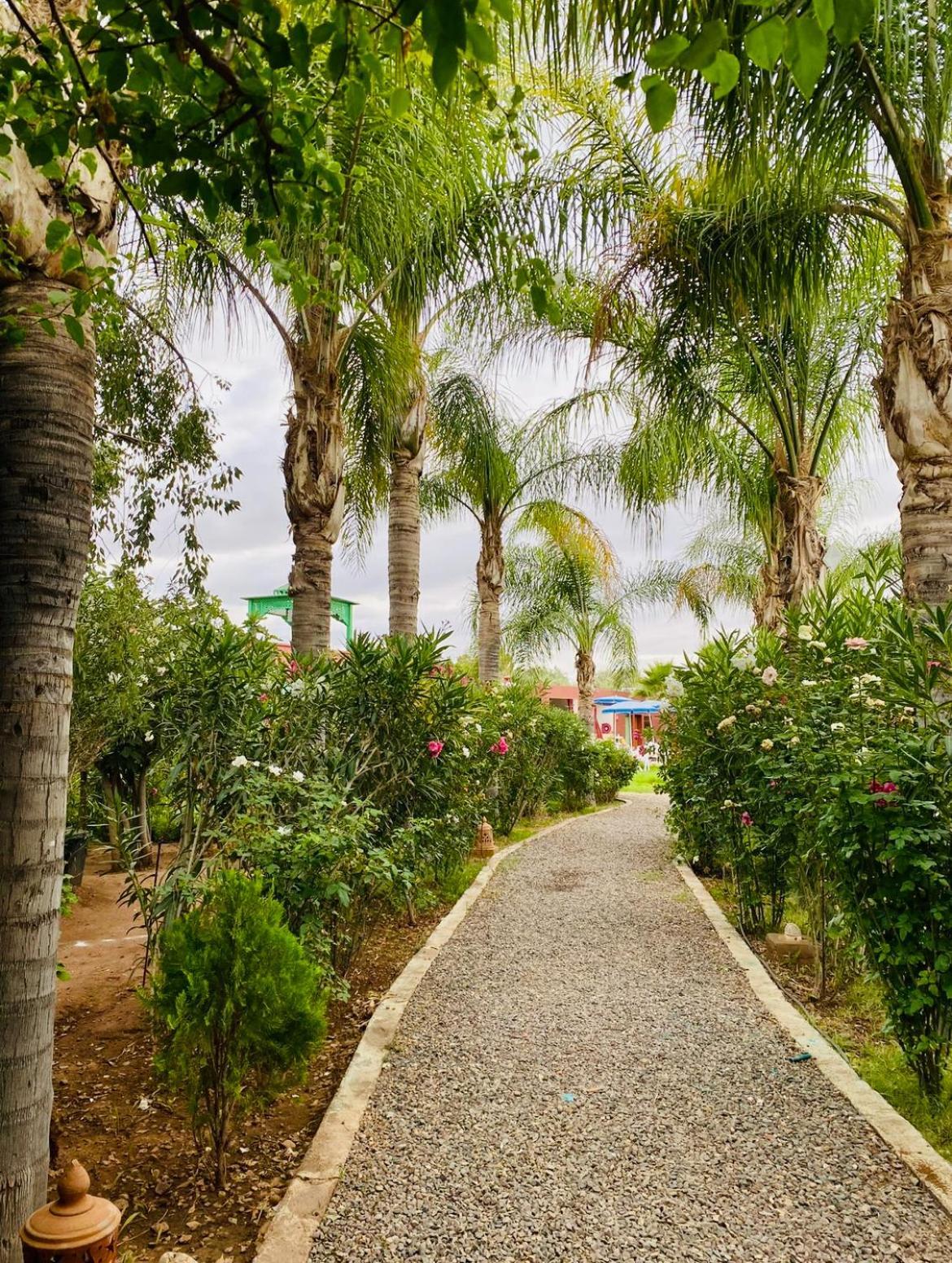 Villa Baddi Marrakech Lagouassem Екстер'єр фото