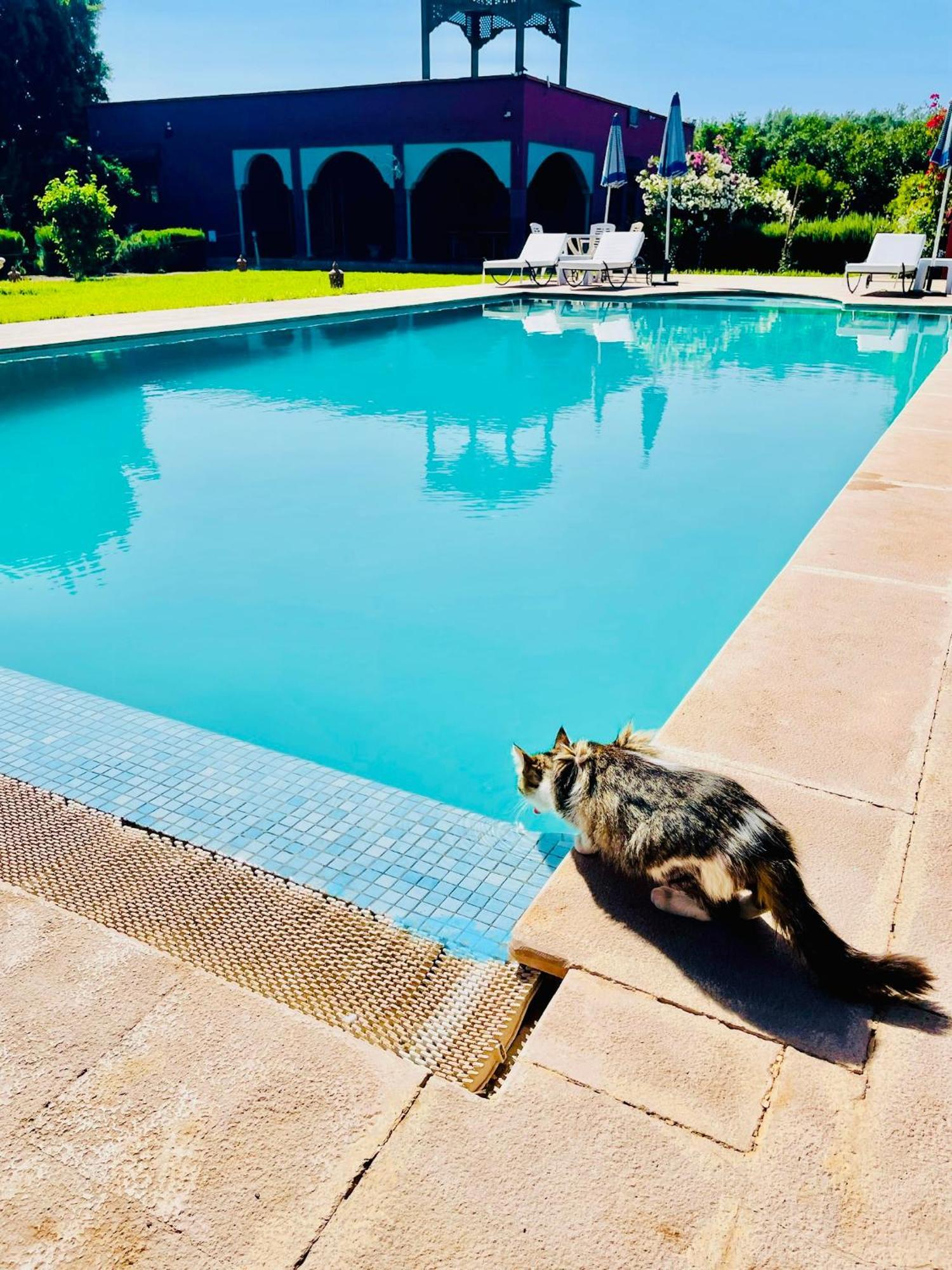 Villa Baddi Marrakech Lagouassem Екстер'єр фото